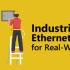 Everything you need in one read👉 Your ultimate Ethernet starter guide — all switch issues solved in one go.